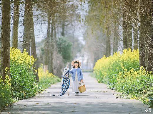 鲤鱼旗上的回忆