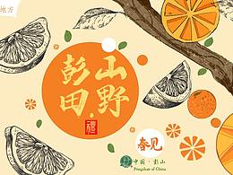 彭山田野礼包装设计