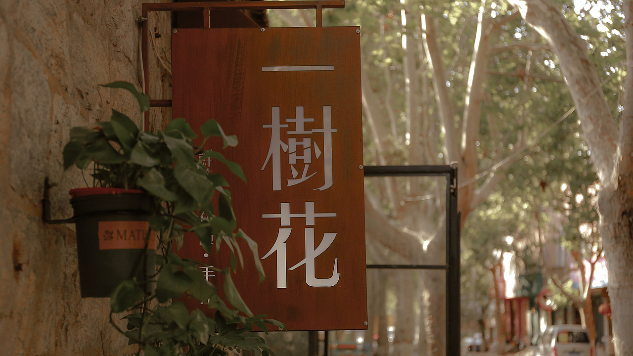 一树花（图ZMTczMzE5Mzky） - 风光摄影 - 站酷设计师瑷姑娘原创素材 - 站酷ZCOOL