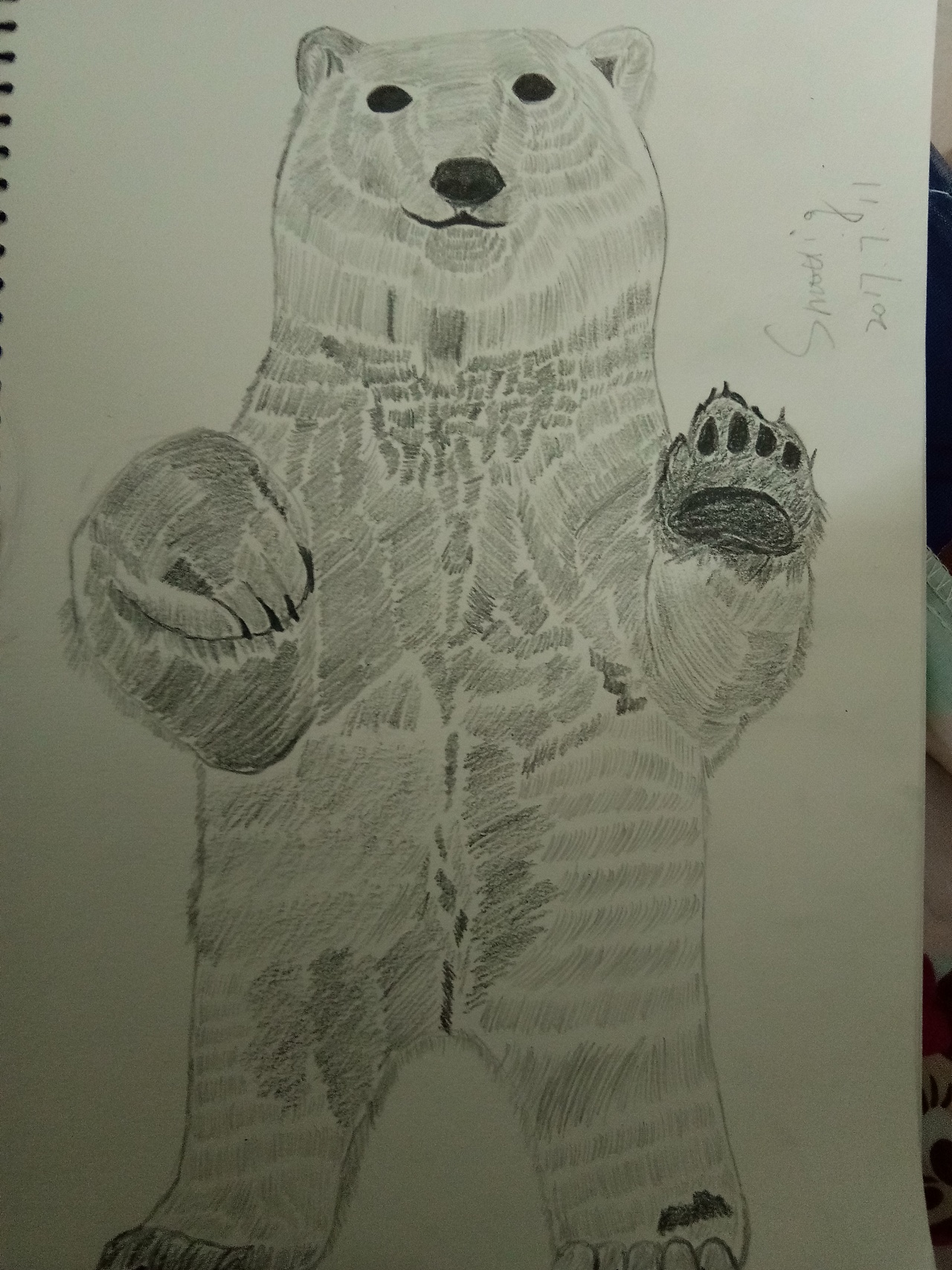 北极熊~