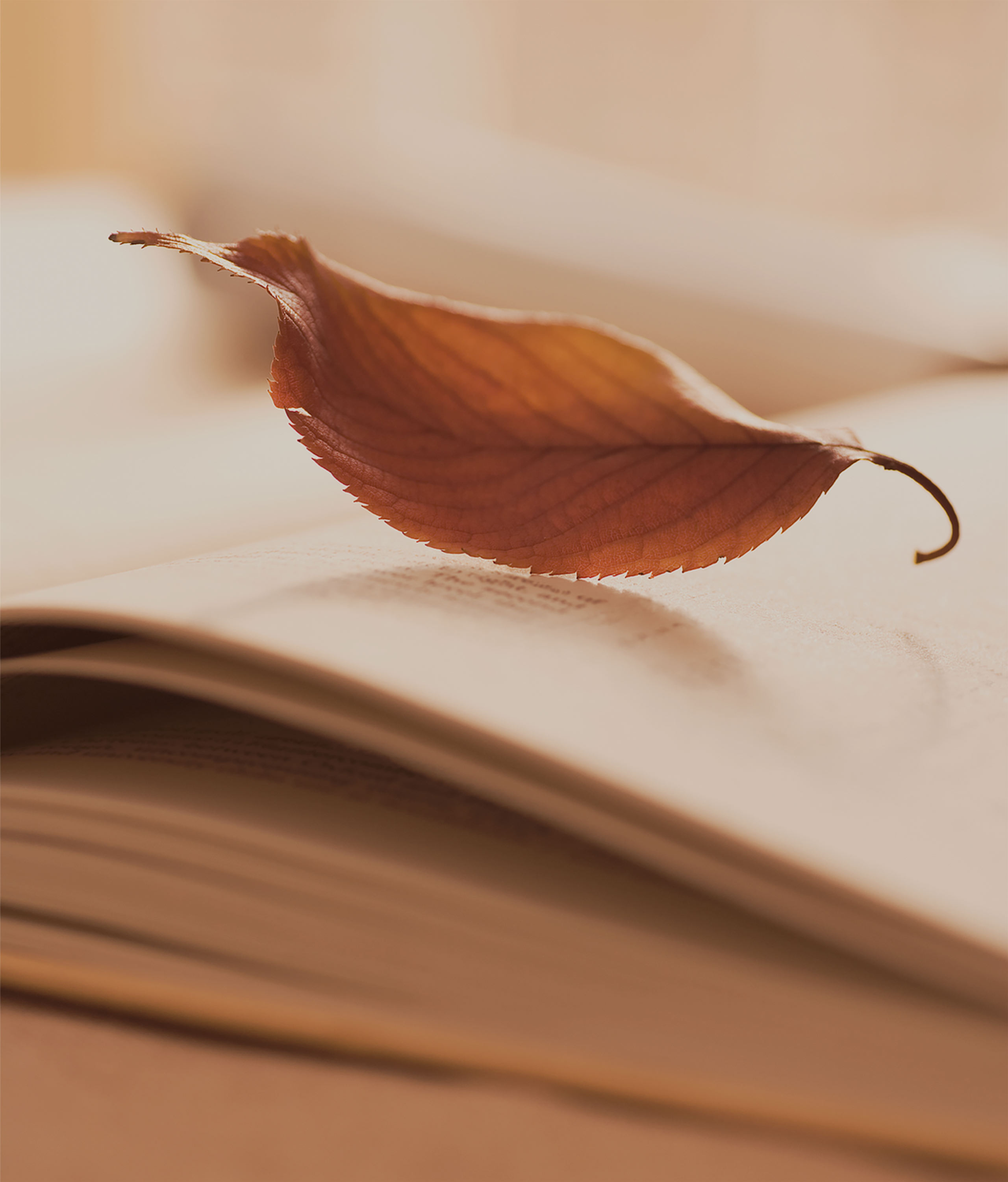 S沉沦的个人主页（背景预览） - 主页背景设置 - 站酷设计师S沉沦原创素材 - 站酷ZCOOL