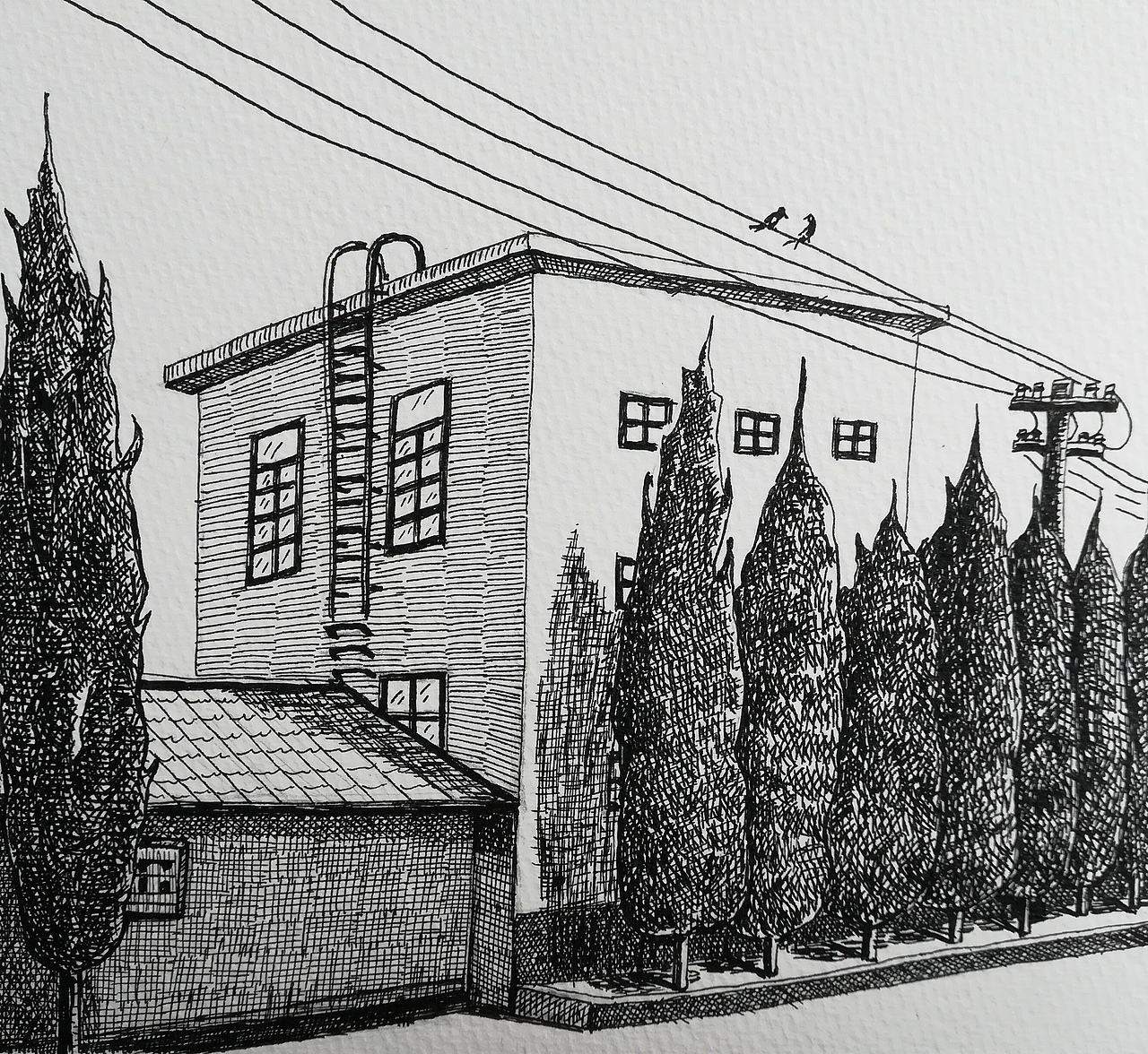 小副钢笔画尝试