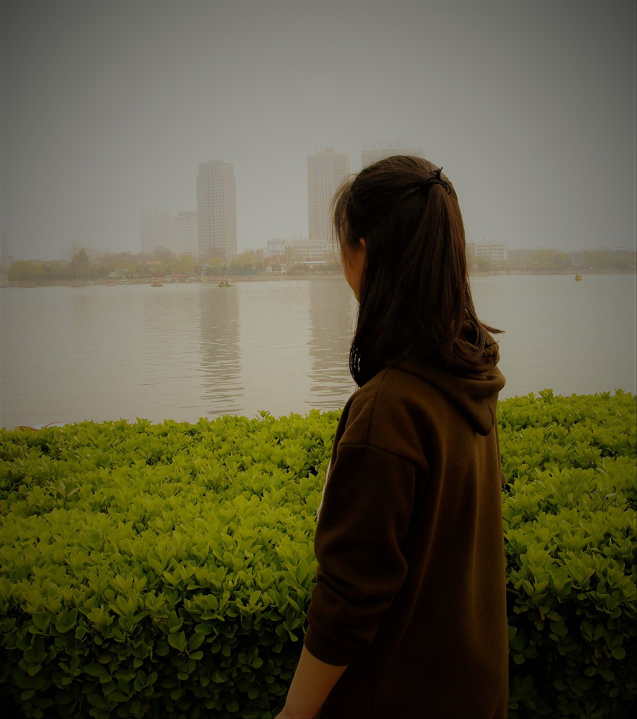 猫咖（图ZMTYyNjQ1Nzgw） - 宠物摄影 - 站酷设计师白色的星期六原创素材 - 站酷ZCOOL