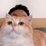 HAooDesign的头像