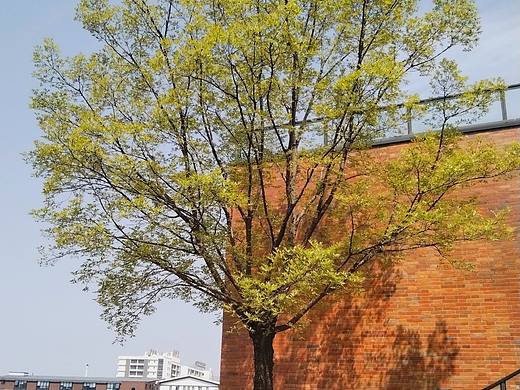 宝山.龙盛活力小镇（个人主页-ZNjgyODYxMDA=） - 风光摄影 - 站酷设计师东逛西摄原创素材 - 站酷ZCOOL