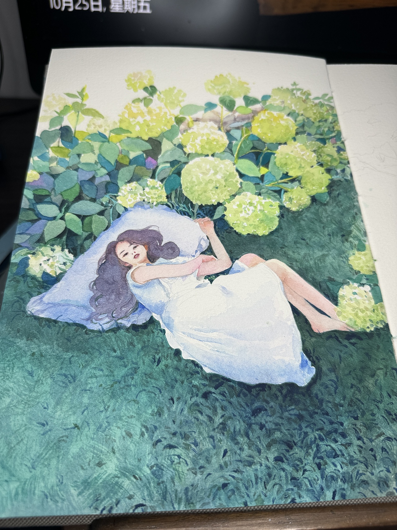 2024水彩插画合集(2)（图ZMzgzNTE0NDE2） - 创作习作 - 站酷设计师x_kaii原创素材 - 站酷ZCOOL