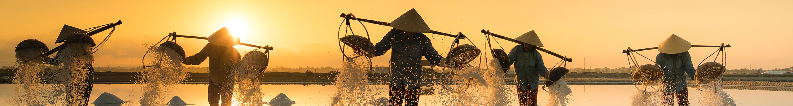 鄭新滔的個(gè)人主頁（封面預(yù)覽） - 主頁封面設(shè)置 - 站酷設(shè)計(jì)師鄭新滔原創(chuàng)素材 - 站酷ZCOOL