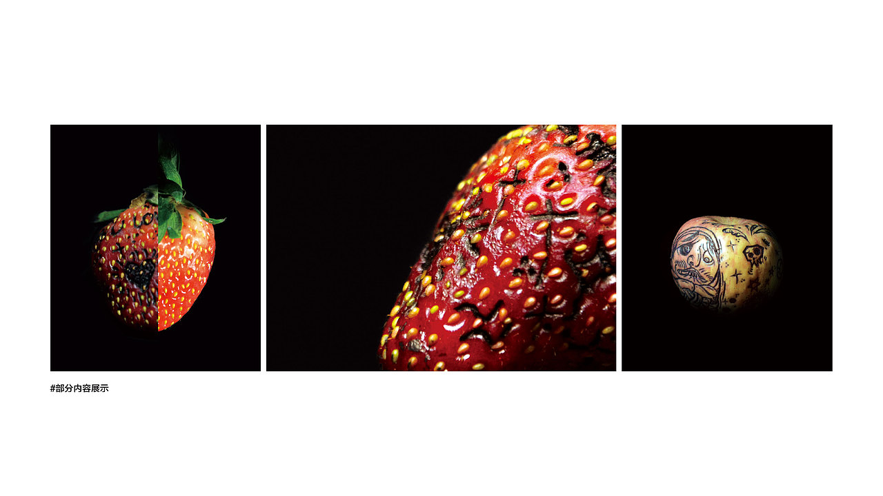 我的简历&作品集