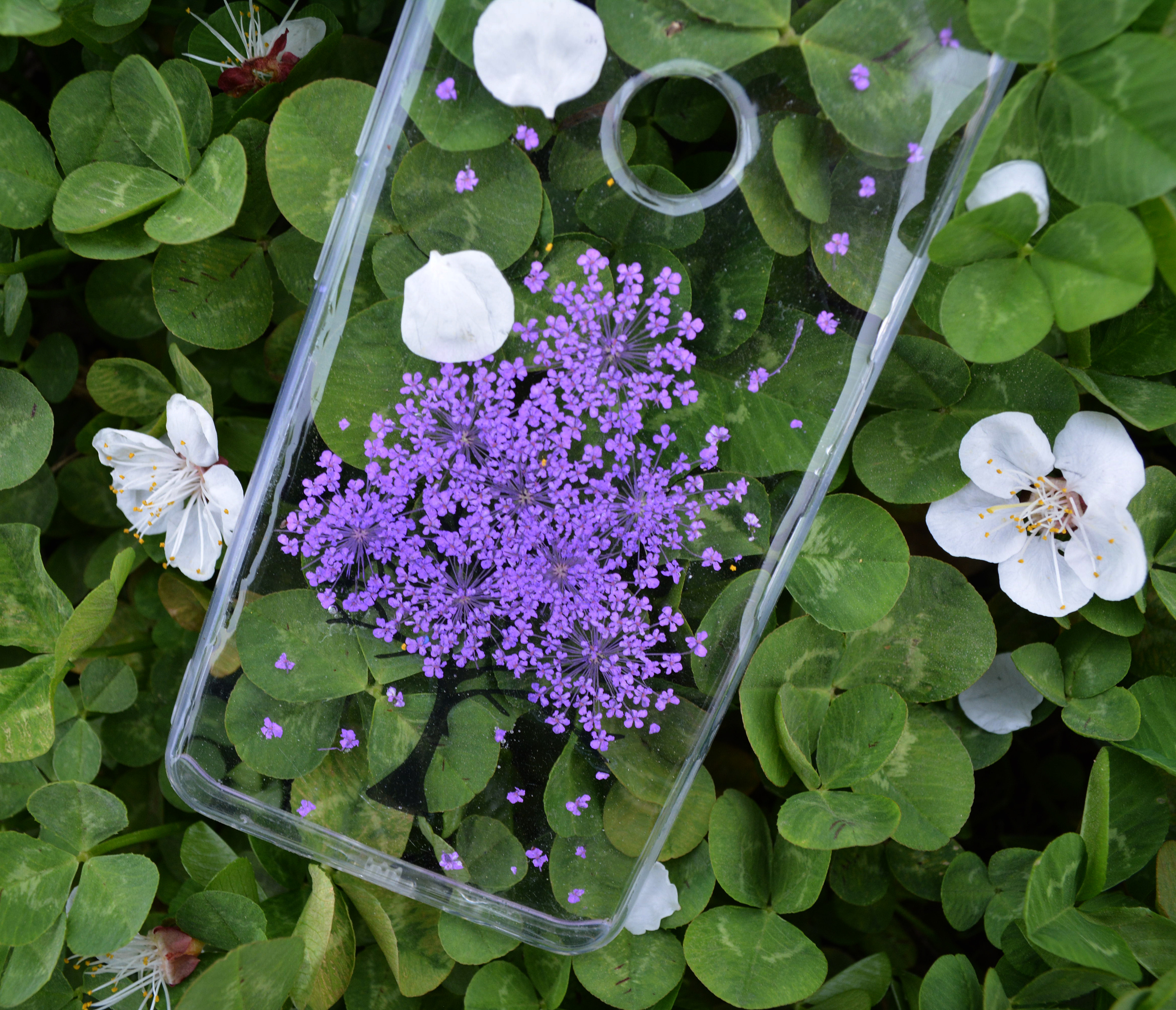 永生花滴胶手作