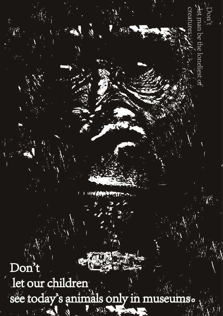 保护动物（图ZMzA1MjkxNjg4） - 海报 - 站酷设计师一条咸鱼的翻身日原创素材 - 站酷ZCOOL