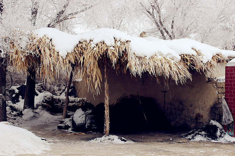 新疆质朴雪景