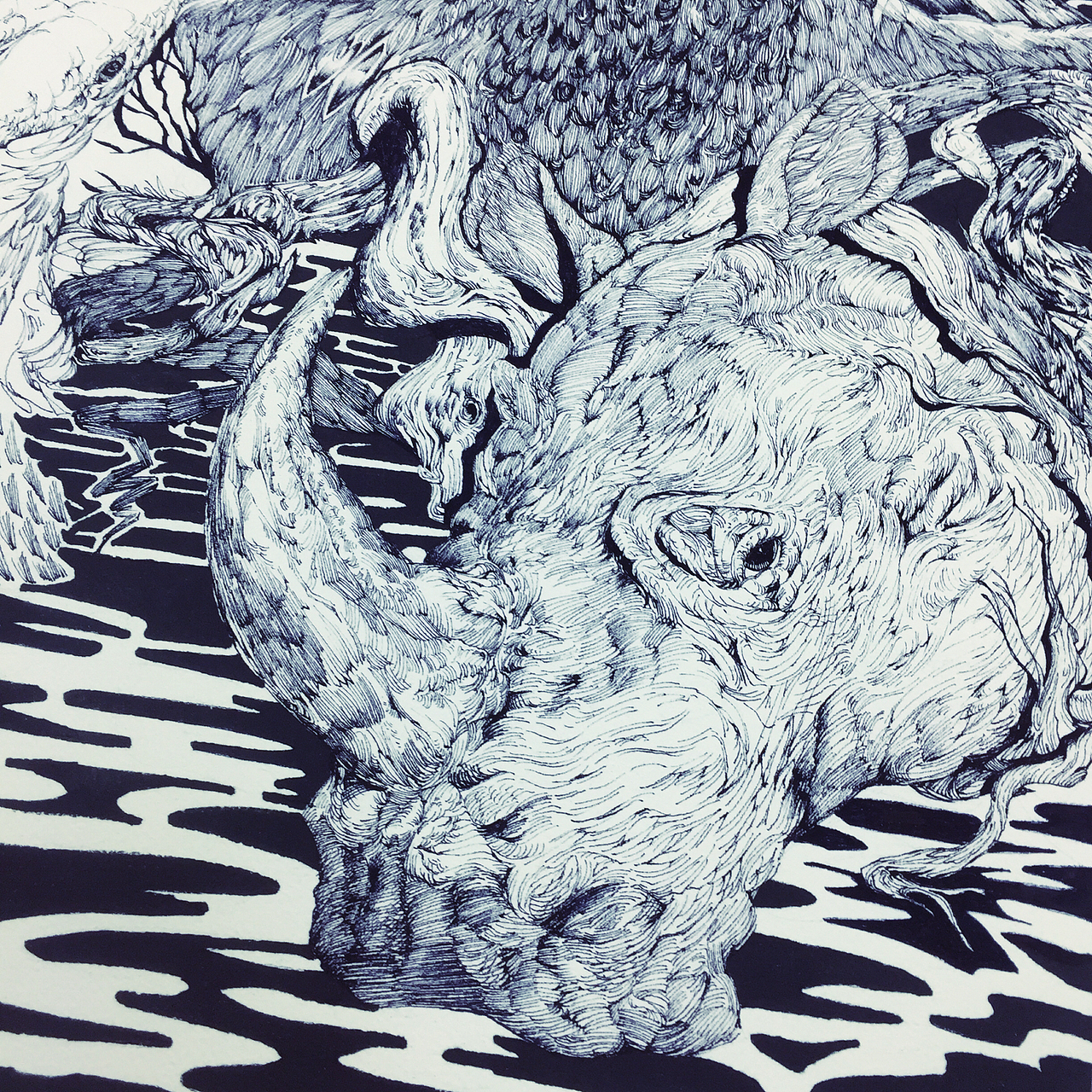 我与煤球共同完成