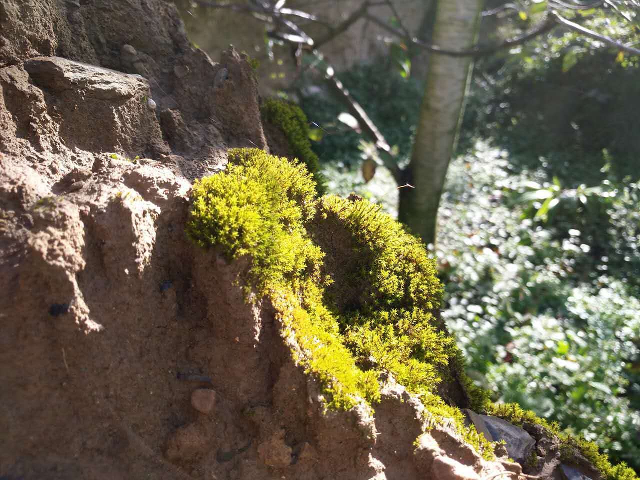 大美川西，康定、甘孜、雅安、汶川、若尔盖高原草原、红原黄河第一湾，全手机拍摄！（图ZNjg5NDMzNzY=） - 风光摄影 - 站酷设计师tclicoo原创素材 - 站酷ZCOOL