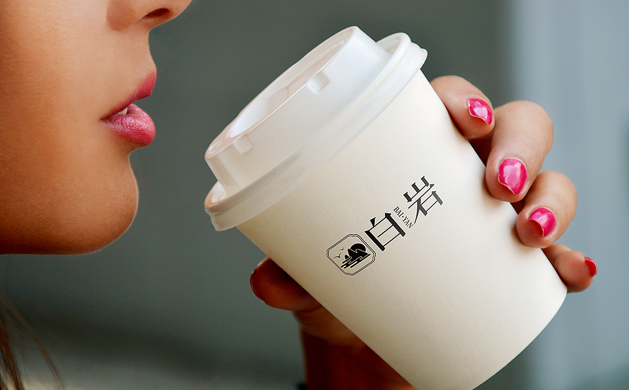 【南都艺设】白岩LOGO设计/字体设计/图形设计/方案A