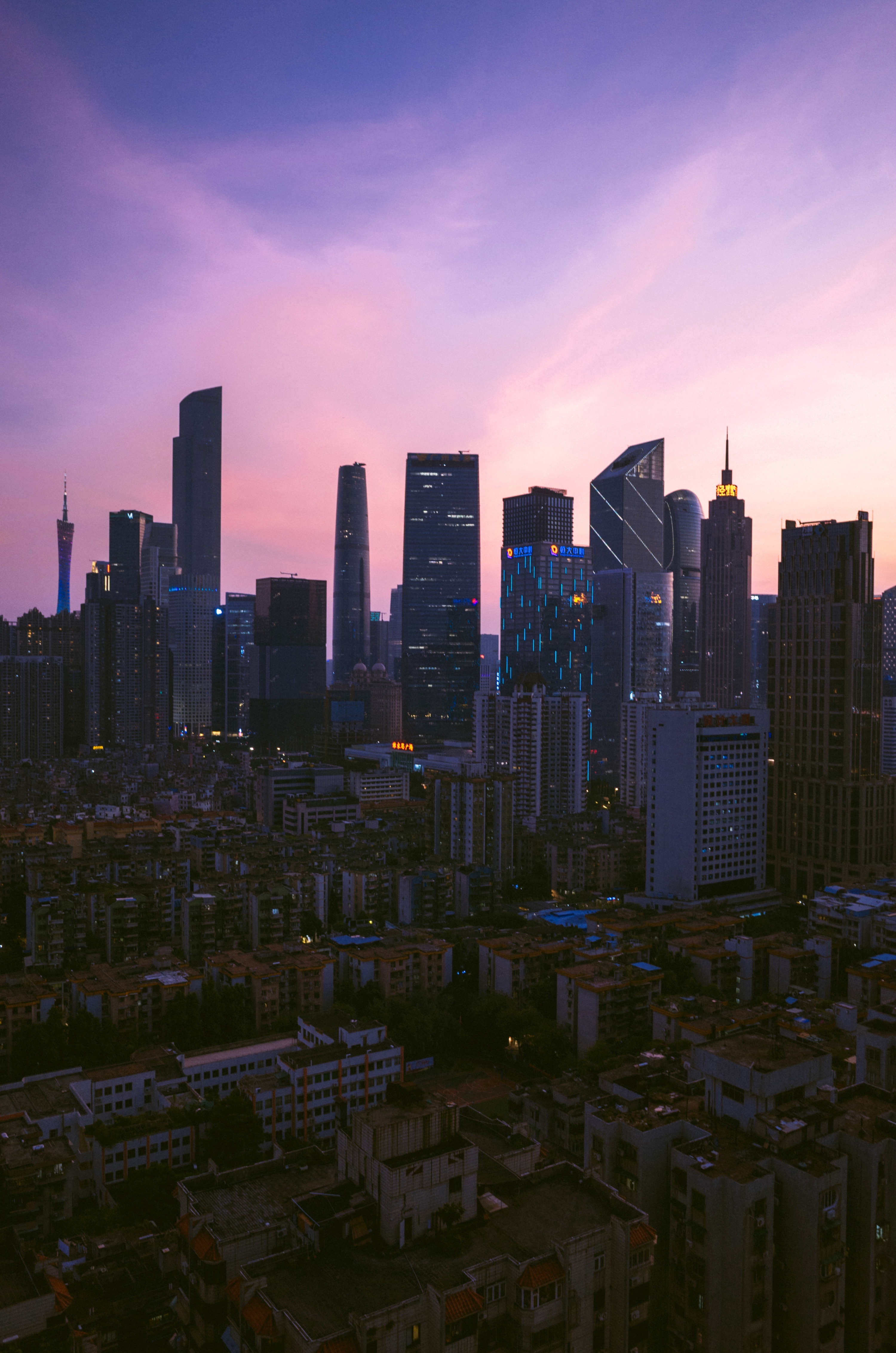 广州丨城市之林