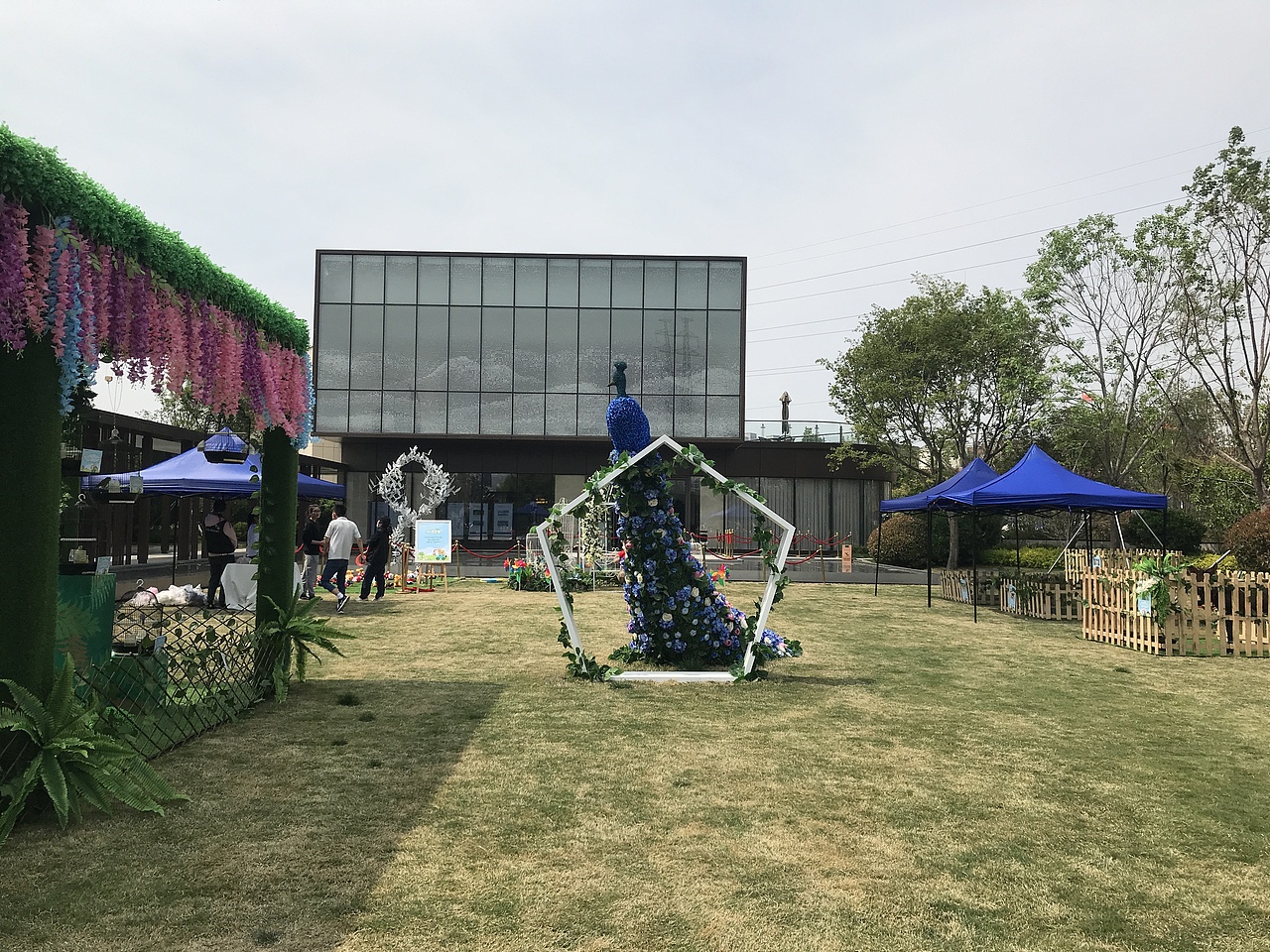 萌宠百鸟展（万达广场）（图ZMjA1NTU1OTI4） - 人文/纪实摄影 - 站酷设计师放狼的小羊原创素材 - 站酷ZCOOL