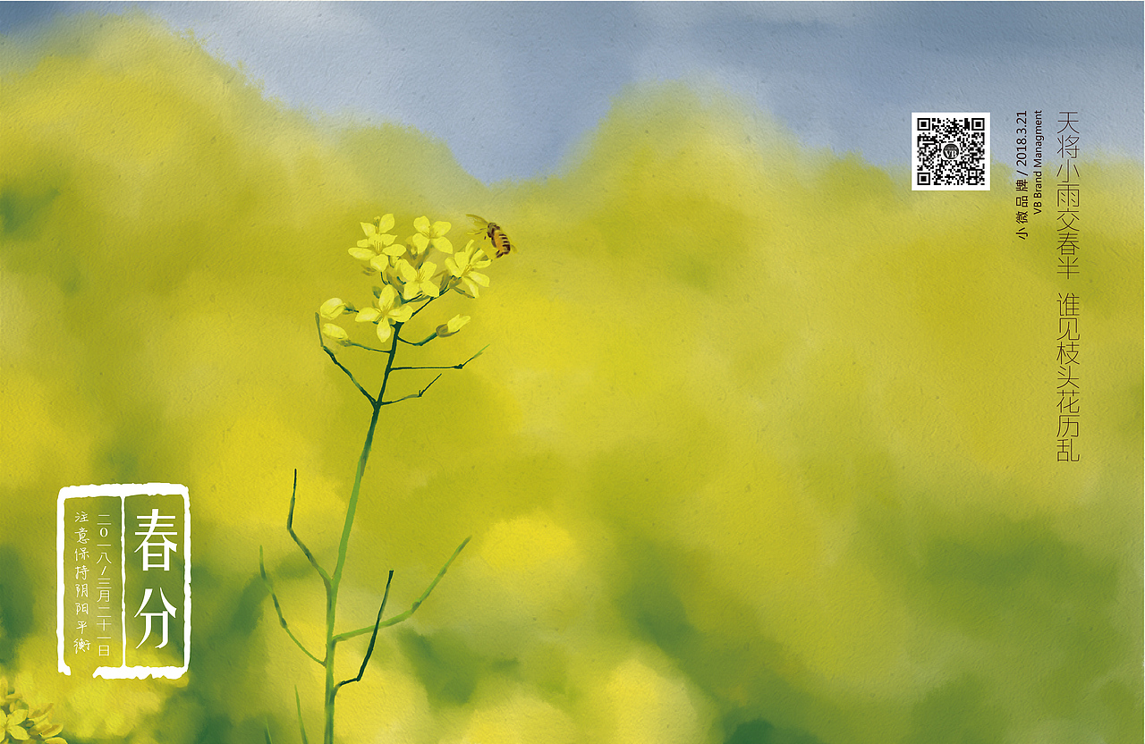 一年手绘节气插图