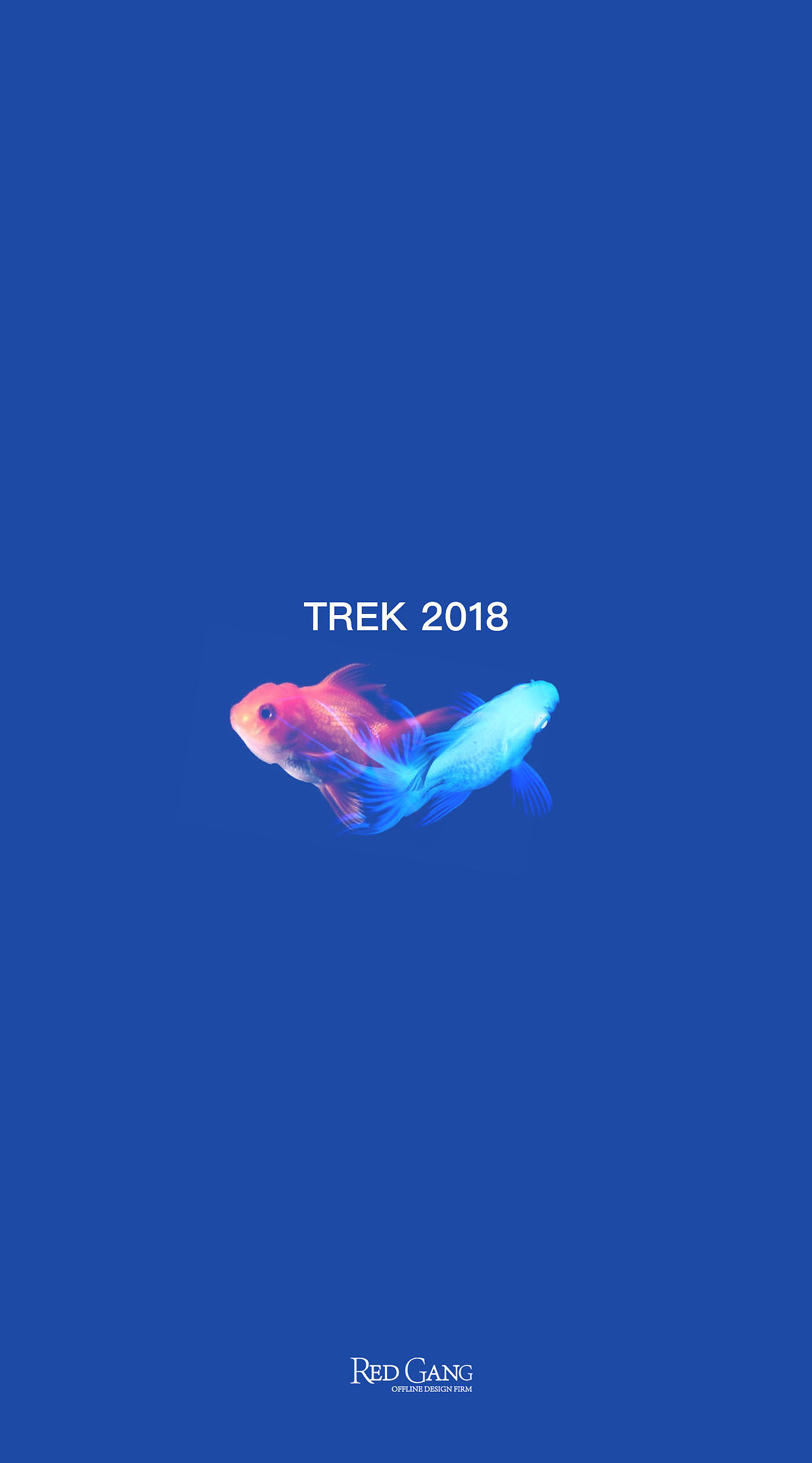 TREK 2018（图ZMTA5NzU2MTMy） - 品牌 - 站酷设计师SFRG原创素材 - 站酷ZCOOL