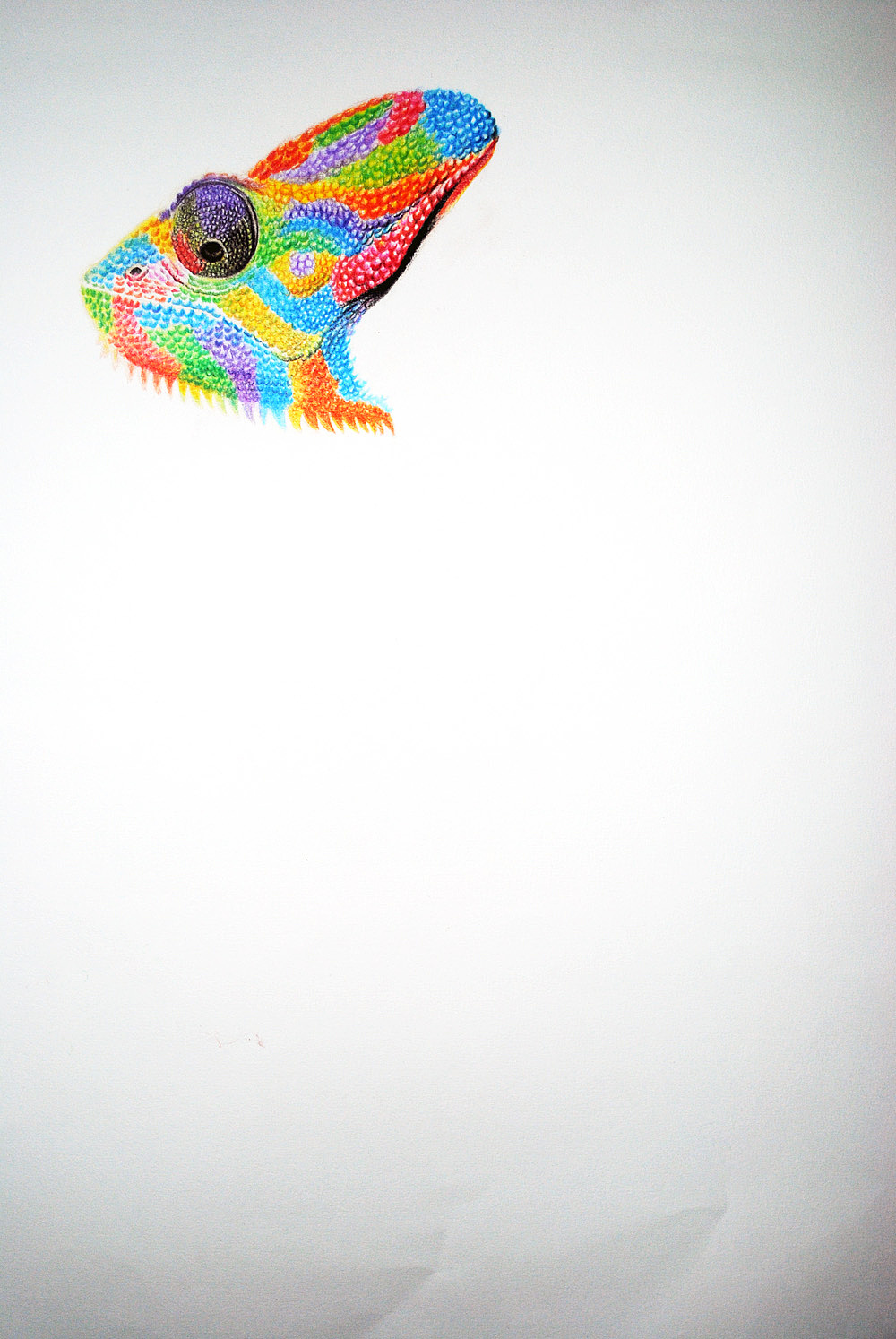 OY彩铅画：变色龙