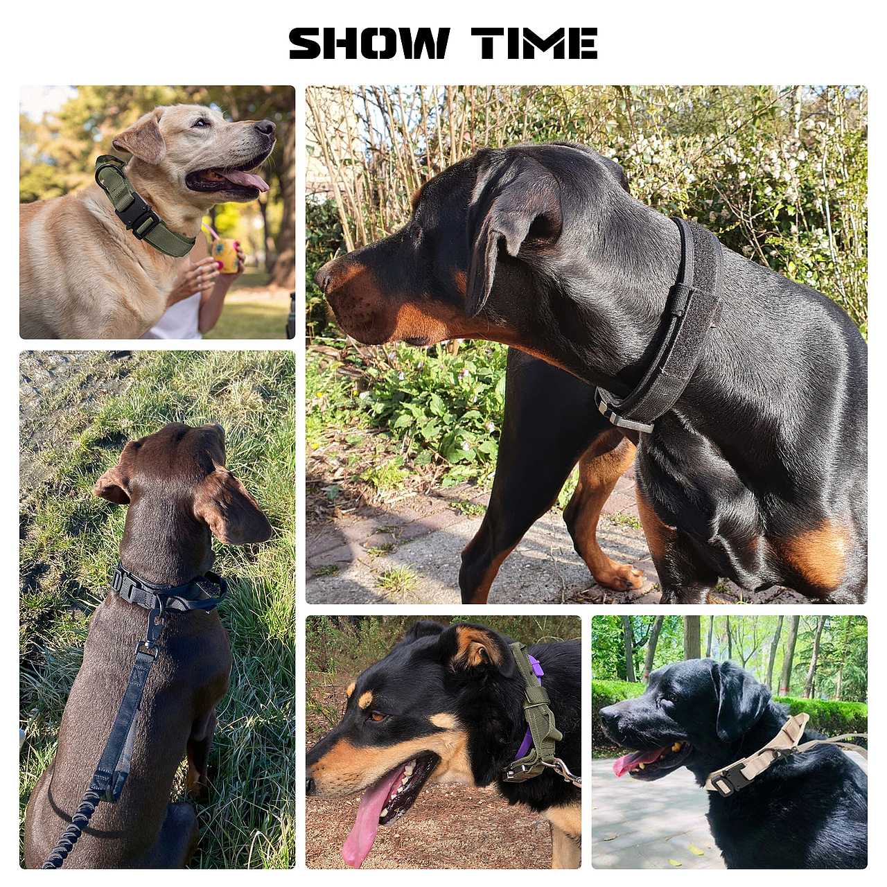 亚马逊 宠物战术项圈