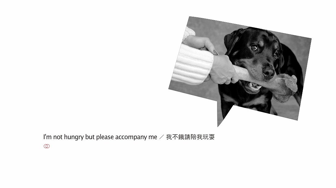 狗曰app logo设计 vi设计（图ZMTA1MDE3NzQ4） - 品牌 - 站酷设计师曰知智品牌设计师原创素材 - 站酷ZCOOL