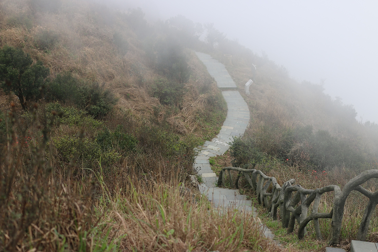 我拍的一些未经修饰的图
