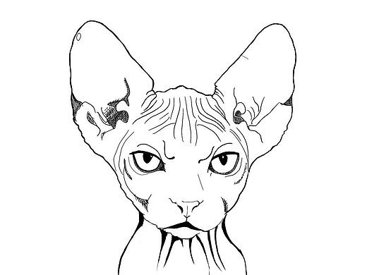 猫.
