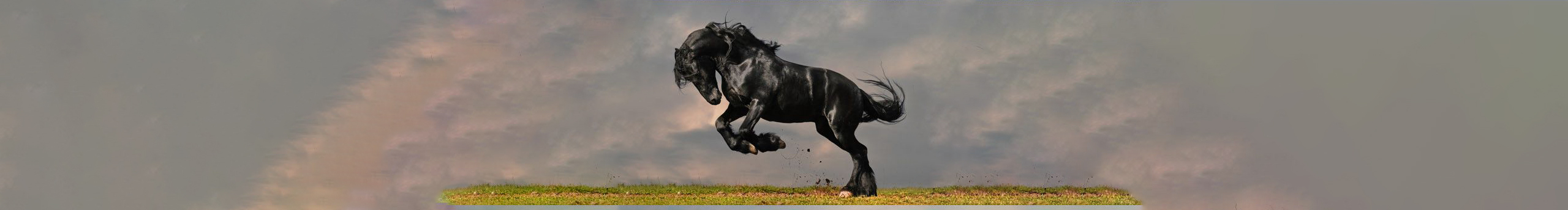 耀楊的个人主页（封面预览） - 主页封面设置 - 站酷设计师耀楊原创素材 - 站酷ZCOOL