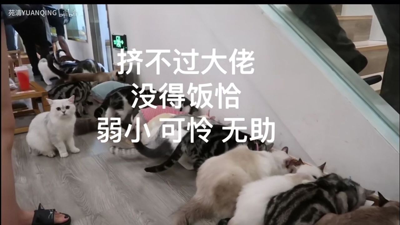 接各种视觉传达专业设计（图ZMTYyODUwNjgw） - 其他 - 站酷设计师岚桥原创素材 - 站酷ZCOOL