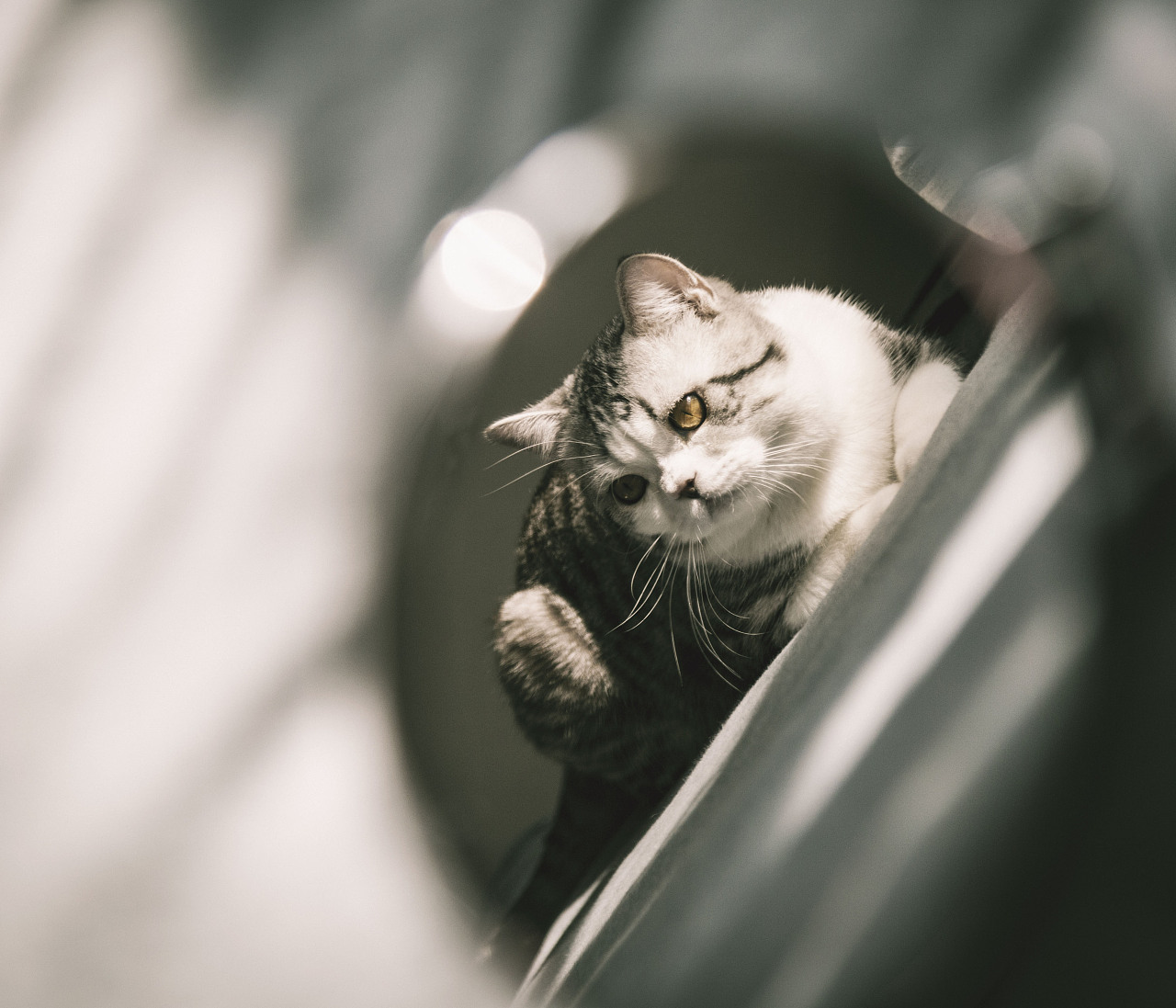 忧郁的少年郎啊