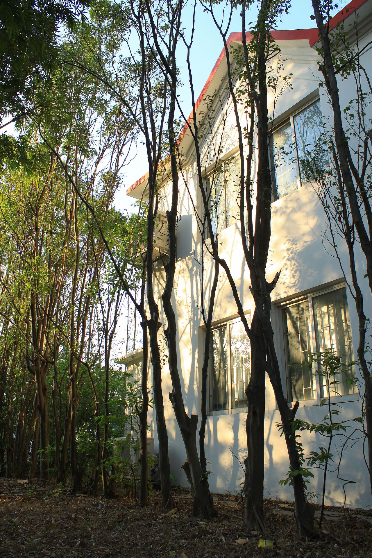 广州大学华软软件学院丝木棉盛开