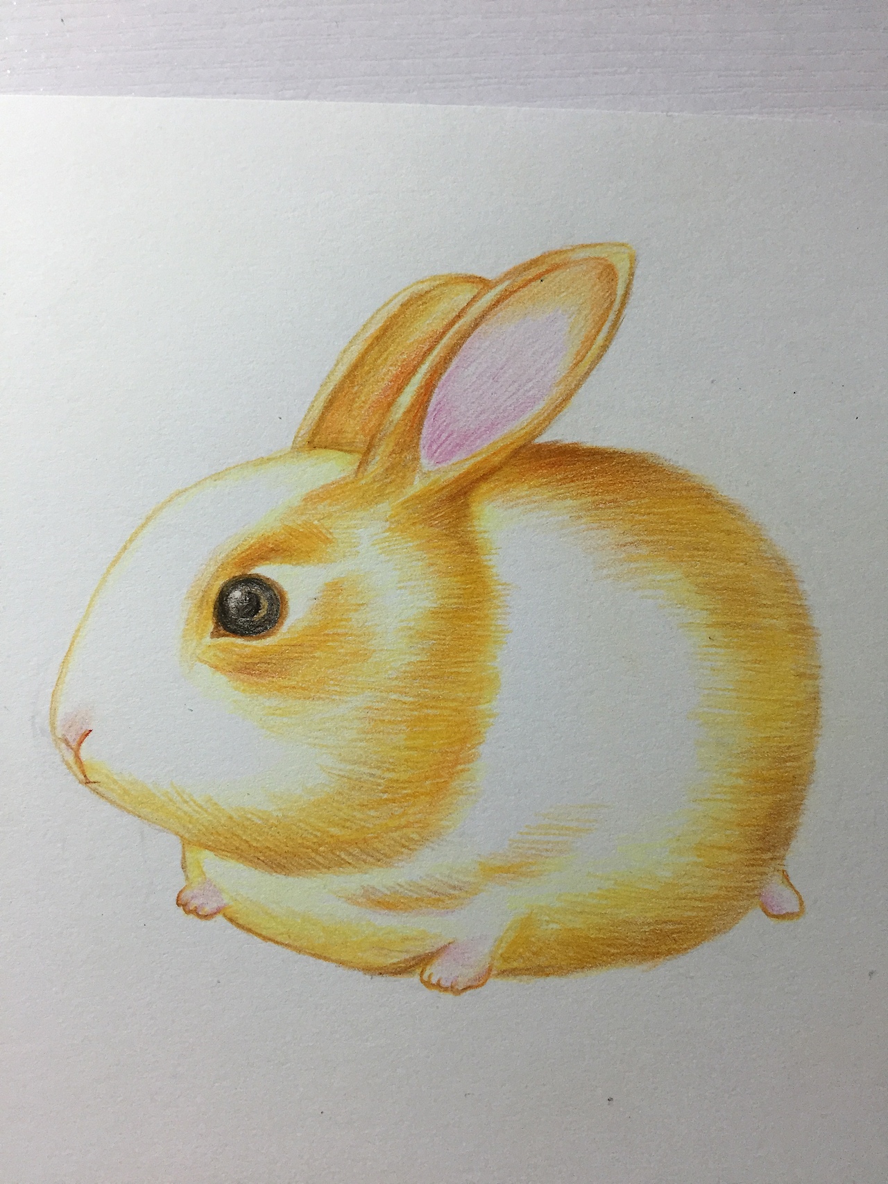 我的手绘历程 第一步！（图ZNTU2MzcyMzI=） - 创作习作 - 站酷设计师smallfishlcy原创素材 - 站酷ZCOOL