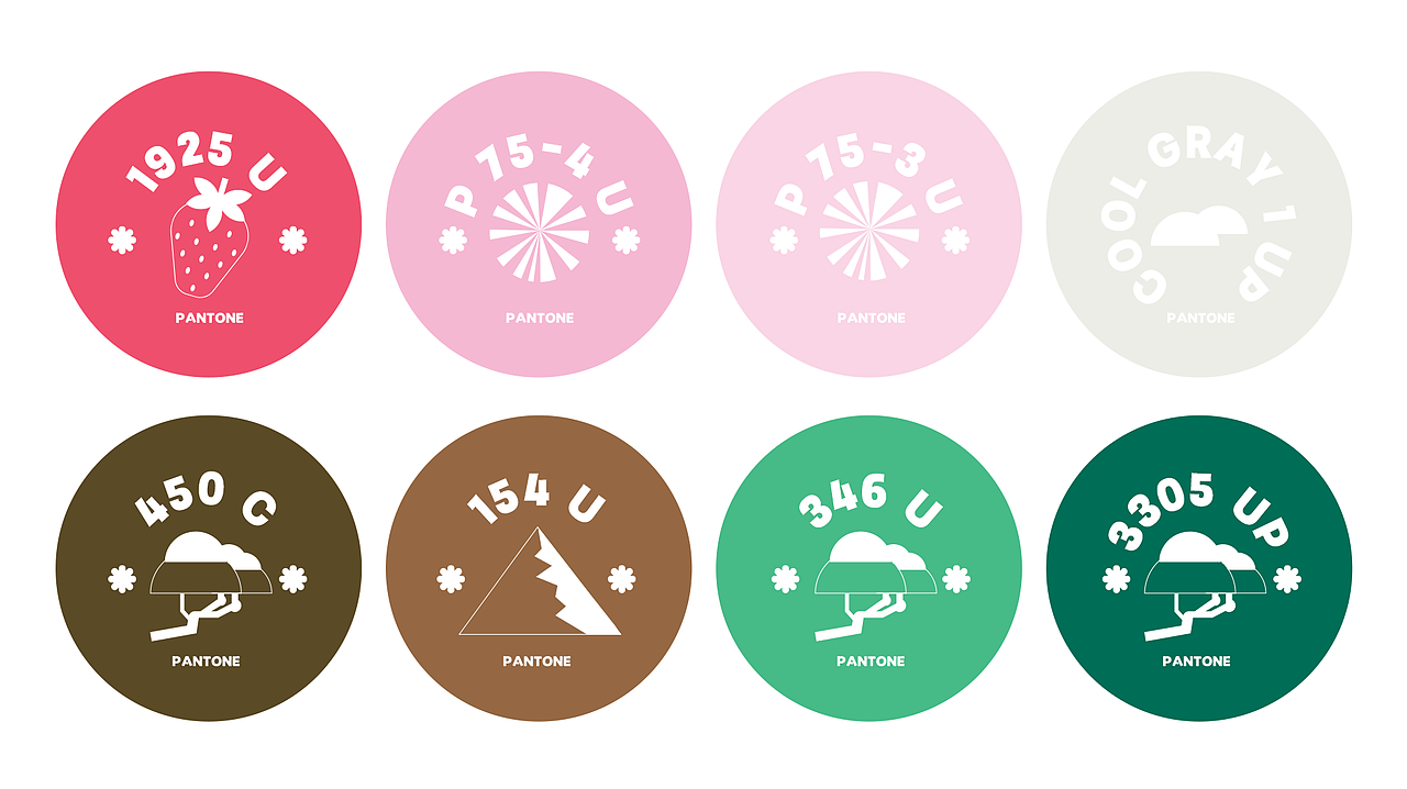 雪山芝士 | 包装设计