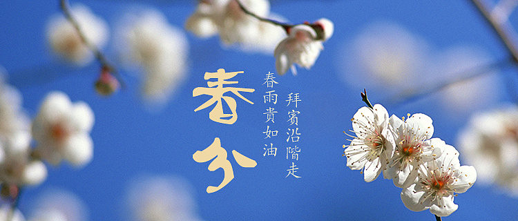 春分时节忙不停