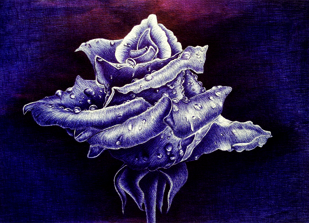 手绘集（图ZMTczODQ5NDQw） - 创作习作 - 站酷设计师大敏大敏原创素材 - 站酷ZCOOL