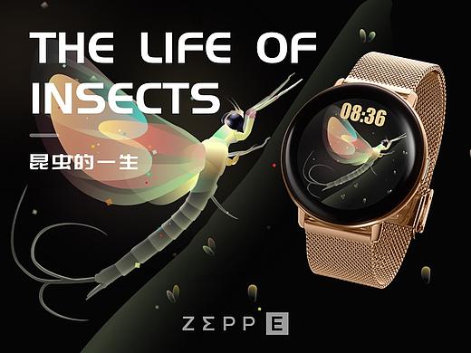 昆虫的一生-ZEEP表盘主题设计