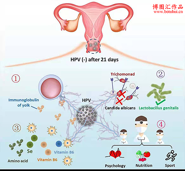 生物医学类科研绘图,欢迎大家关注学习