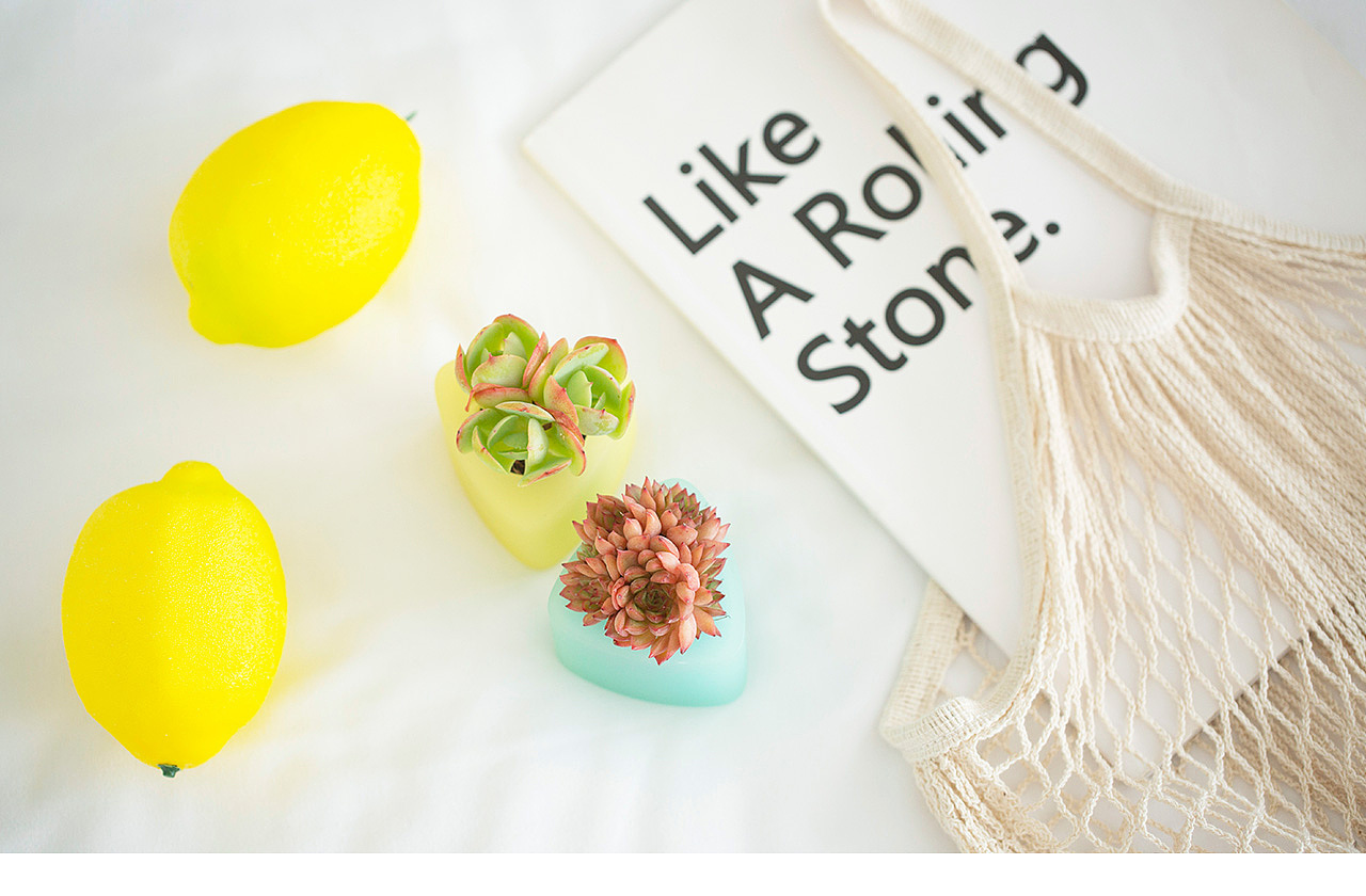 三款INS风家居无土栽培多肉植物-产品摄影（图ZMTMzNTk2NDcy） - 产品摄影 - 站酷设计师Pazza大安原创素材 - 站酷ZCOOL