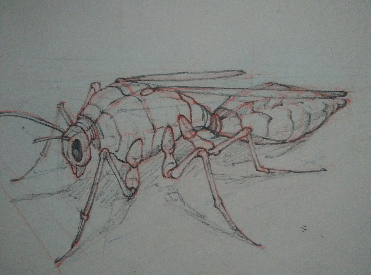 手绘（含临摹）