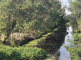 路边风景