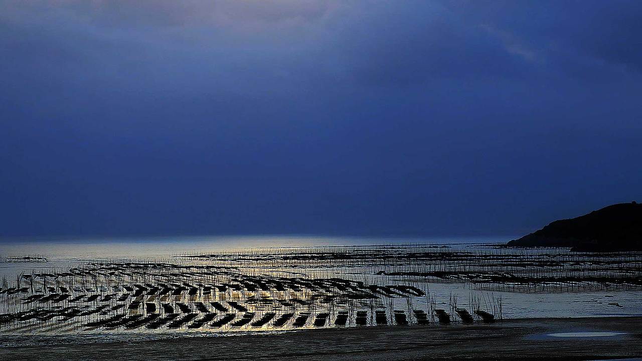 吕燕群先生摄影作品——2020年12月（图ZMjM3MzUwNzQw） - 人像摄影 - 站酷设计师纳木念夕原创素材 - 站酷ZCOOL