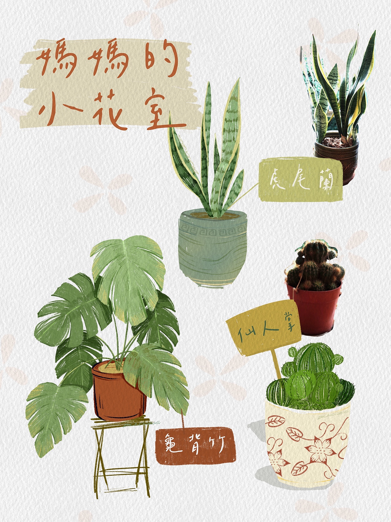 妈妈的小花室|植物速写插画