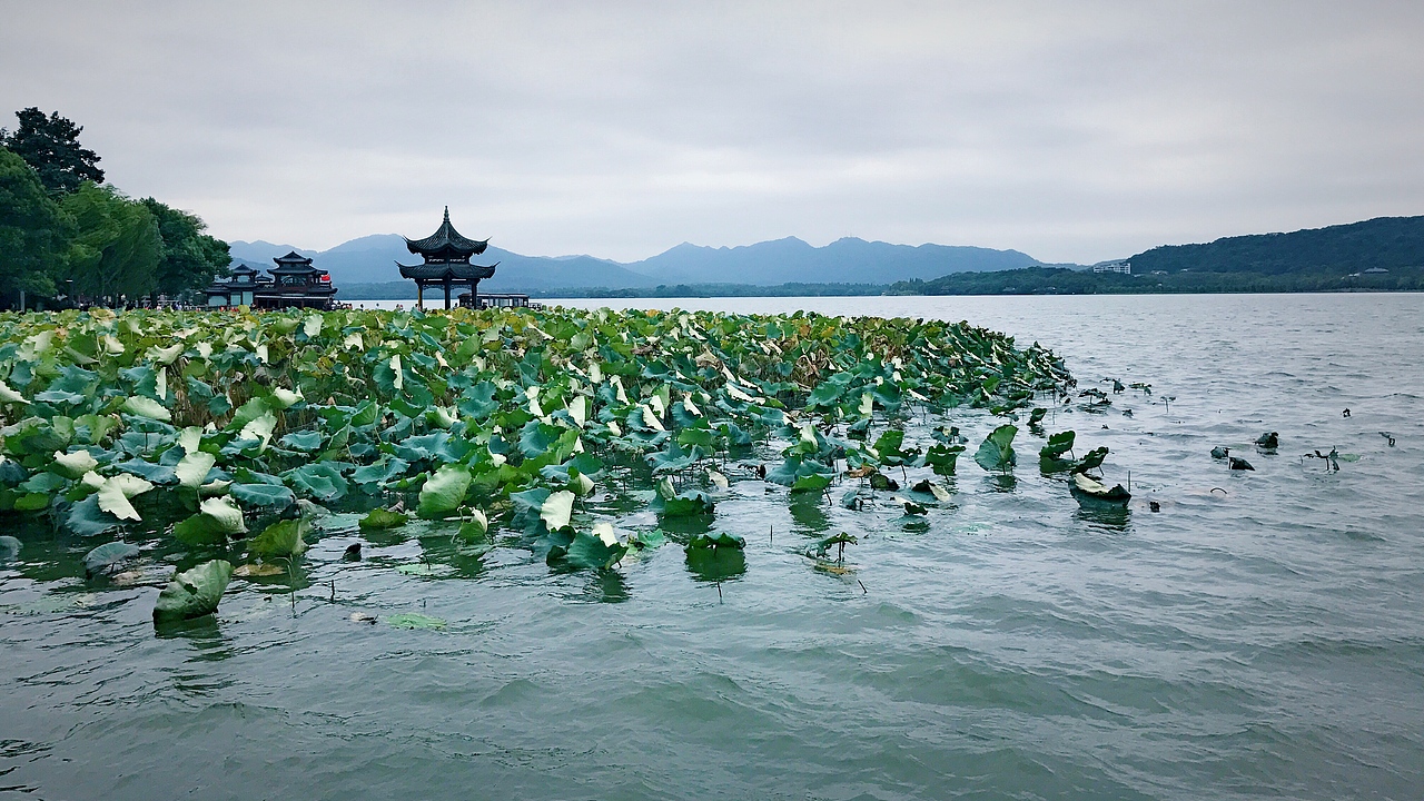 中秋 · 荷气秋风