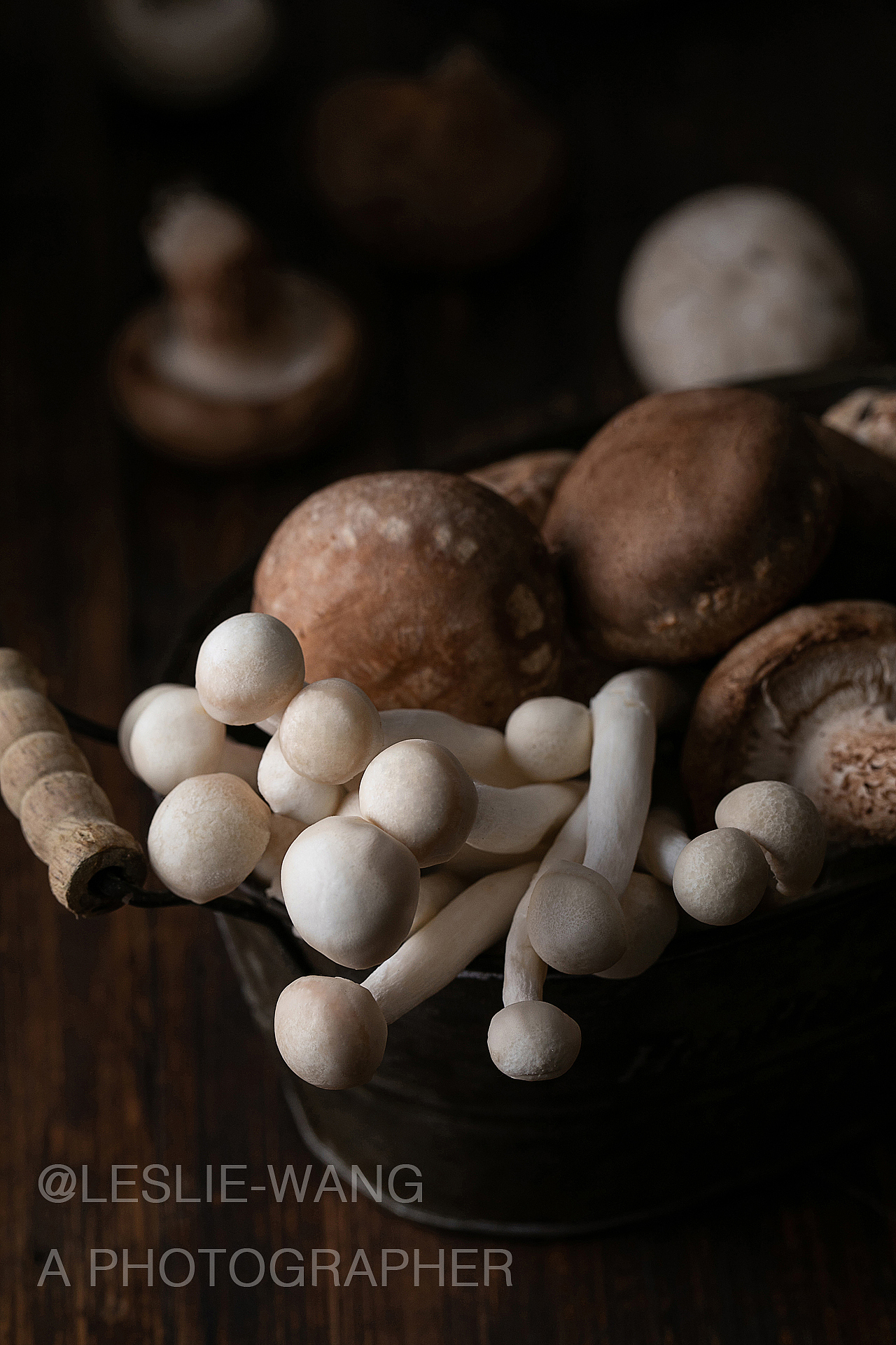 菌 THE MUSHROOM（图ZMTM4NTM3NDUy） - 产品摄影 - 站酷设计师来四粒WANG原创素材 - 站酷ZCOOL