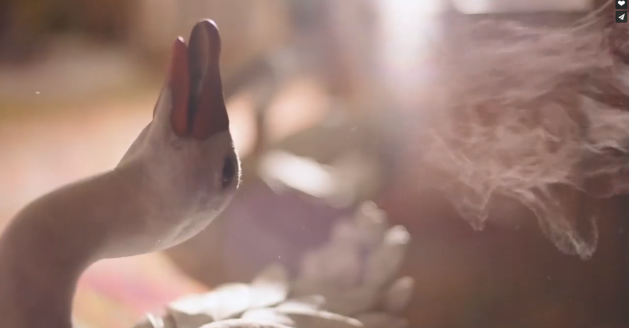 希思黎 Sisley 法国著名奢饰品品牌