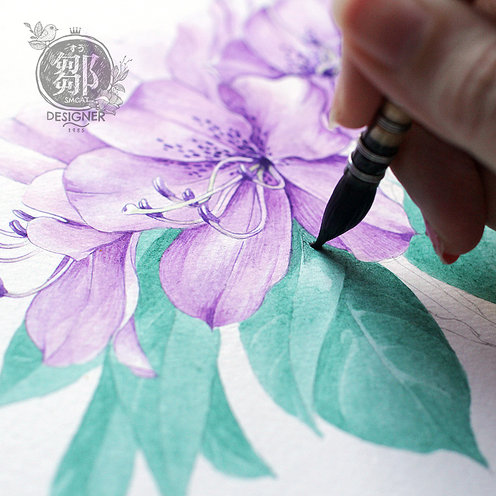 杜鹃花系列——马银花（图ZNzc5OTI5Mjg=） - 商业插画 - 站酷设计师鄒慶原创素材 - 站酷ZCOOL