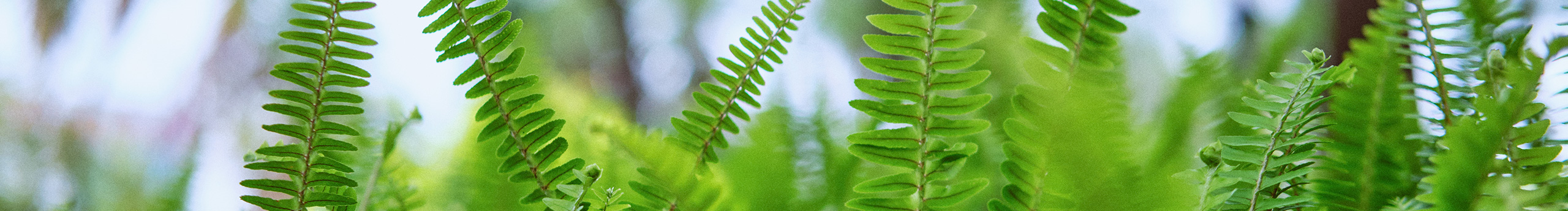 九月微風(fēng)的個(gè)人主頁（封面預(yù)覽） - 主頁封面設(shè)置 - 站酷設(shè)計(jì)師九月微風(fēng)原創(chuàng)素材 - 站酷ZCOOL