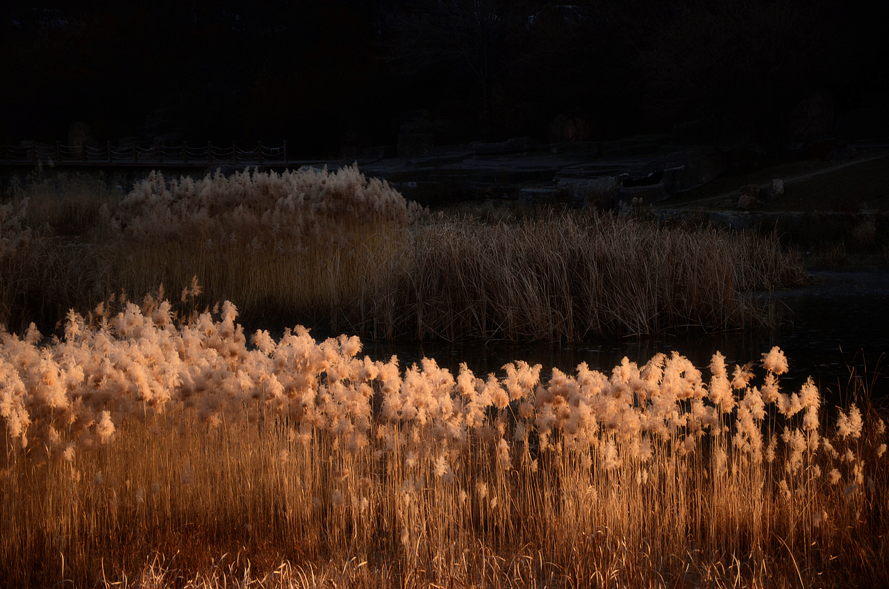 风景摄影（图ZMTQzOTM4NDg0） - 风光摄影 - 站酷设计师MichelTao原创素材 - 站酷ZCOOL