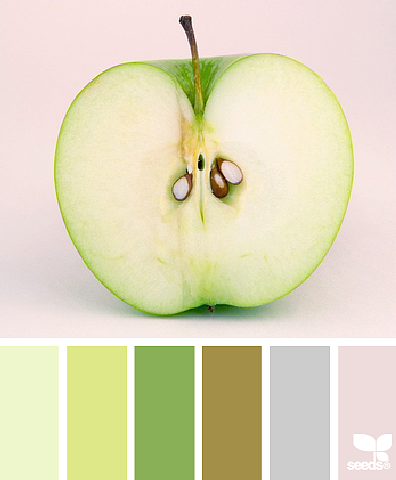 美丽的配色卡啊——02（图ZMTQwMzYyNzAw） - 图案 - 站酷设计师Bona_Dai原创素材 - 站酷ZCOOL