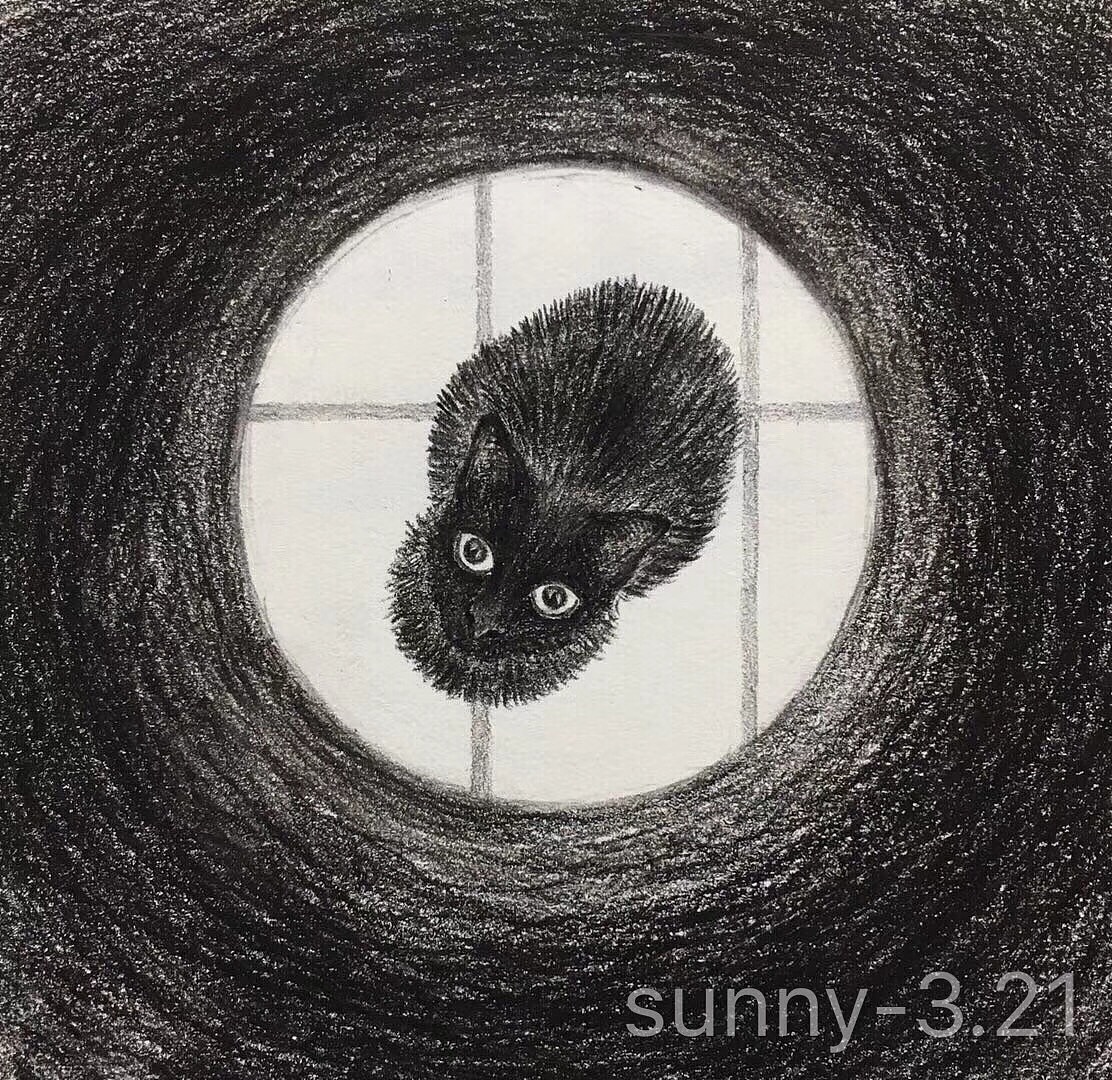 黑猫系列（图ZMTE0MjA1MjY0） - 创作习作 - 站酷设计师Sunny9058原创素材 - 站酷ZCOOL